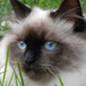 Meet your Posher, Deja